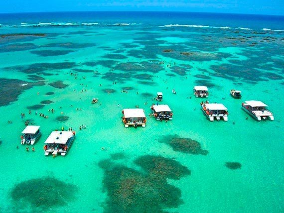 Piscinas naturais de Maragogi: tudo o que você precisa saber antes de ir
